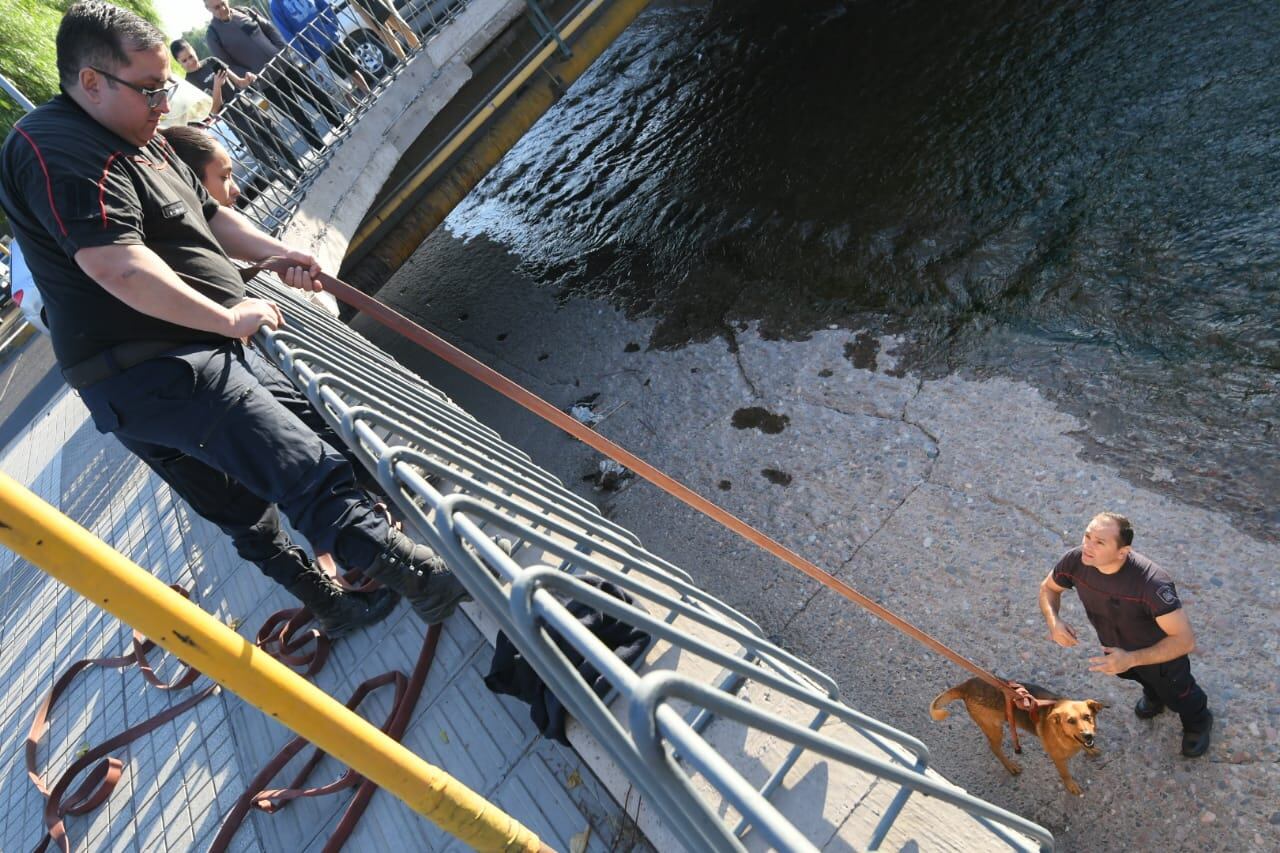 Fotos y video: bomberos rescataron a un perrito en el canal Cacique Guaymallén y evitaron que se ahogue. Foto: Ignacio Blanco / Los Andes.