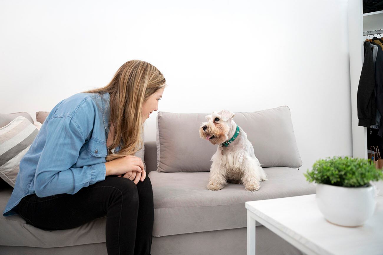 Por qué hay que hablarle a los perros más despacio. La ciencia tiene la respuesta. (Freepik)