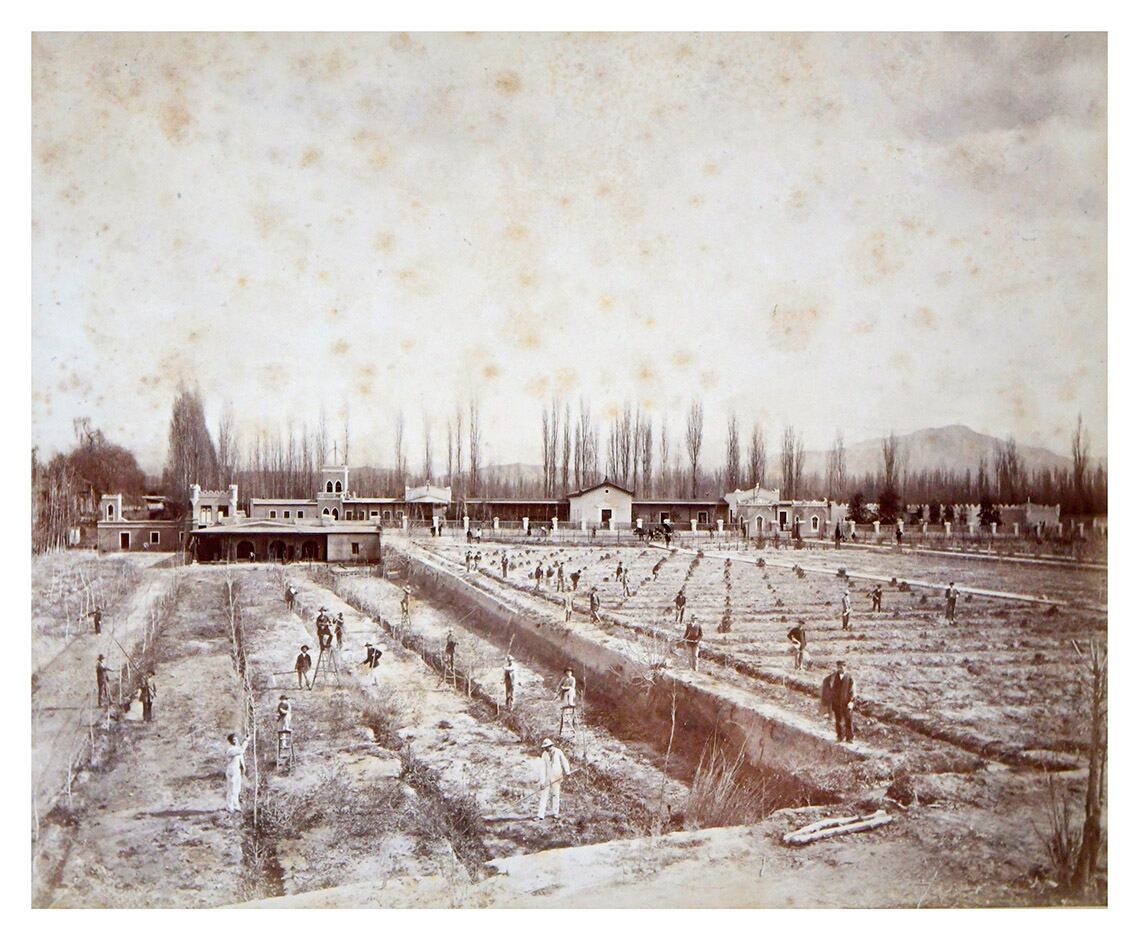 Mendoza 08 Julio 2021 Sociedad
El Mendoza de Ayer
José Christiano de Freitas Junior, fotografo de Brasil que en 1880 retrató la gente y paisajes de Mendoza. Libro con fotografías que le regalara al médico Leonardo  Gonzales Garaño.
En la foto: La quinta Agronómica, que esta ubicada en el actual Parque Cívico.

Foto : Orlando Pelichotti  / Los Andes