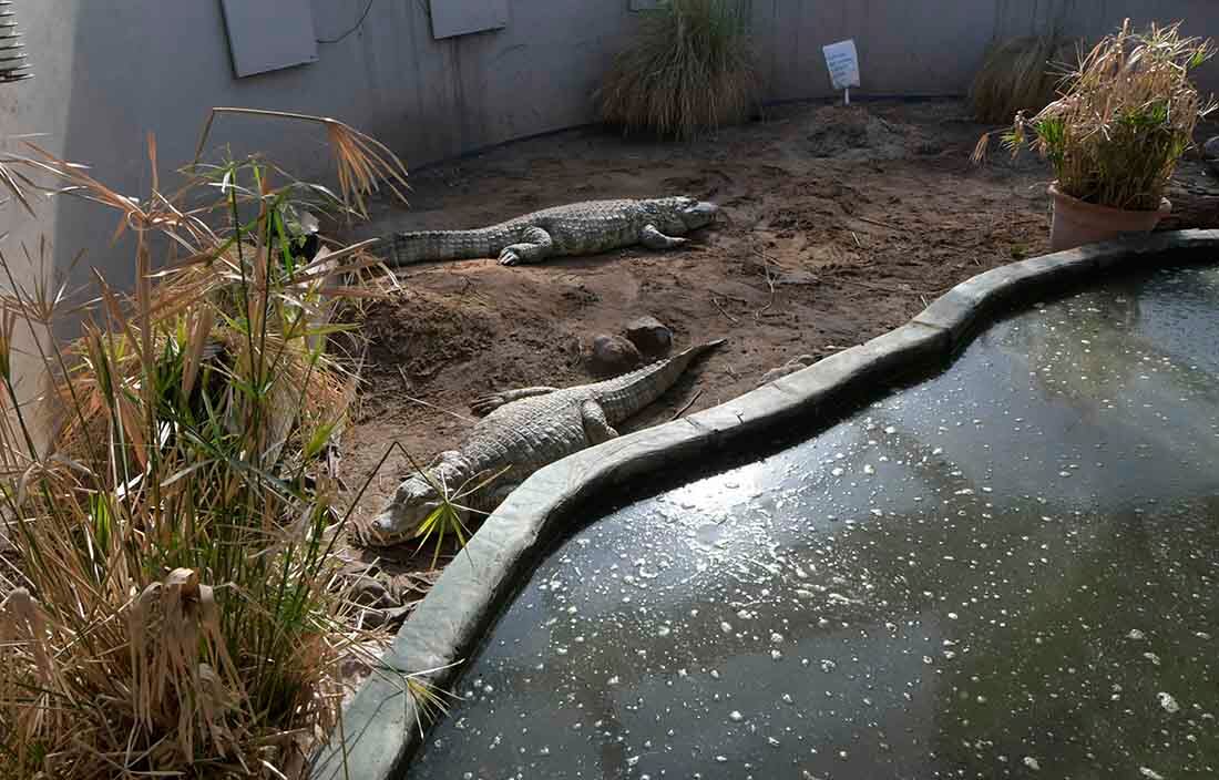 El  Acuario, tradicional paseo mendocino, ubicado en el Parque O’Higgins, será reconvertido en Centro para la Conservación de la Biodiversidad.