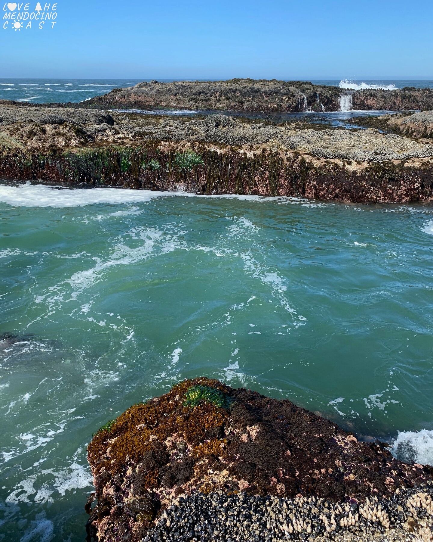 El lugar más “Mendocino” de California: un paraíso colonial oculto de bosques, naturaleza, ríos y mar azul. Foto: Facebook Love the Mendocino Coast