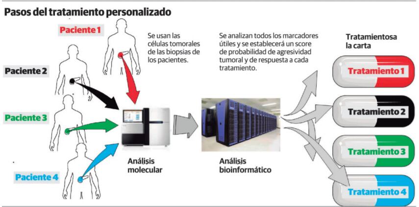 Pasos del tratamiento personalizado