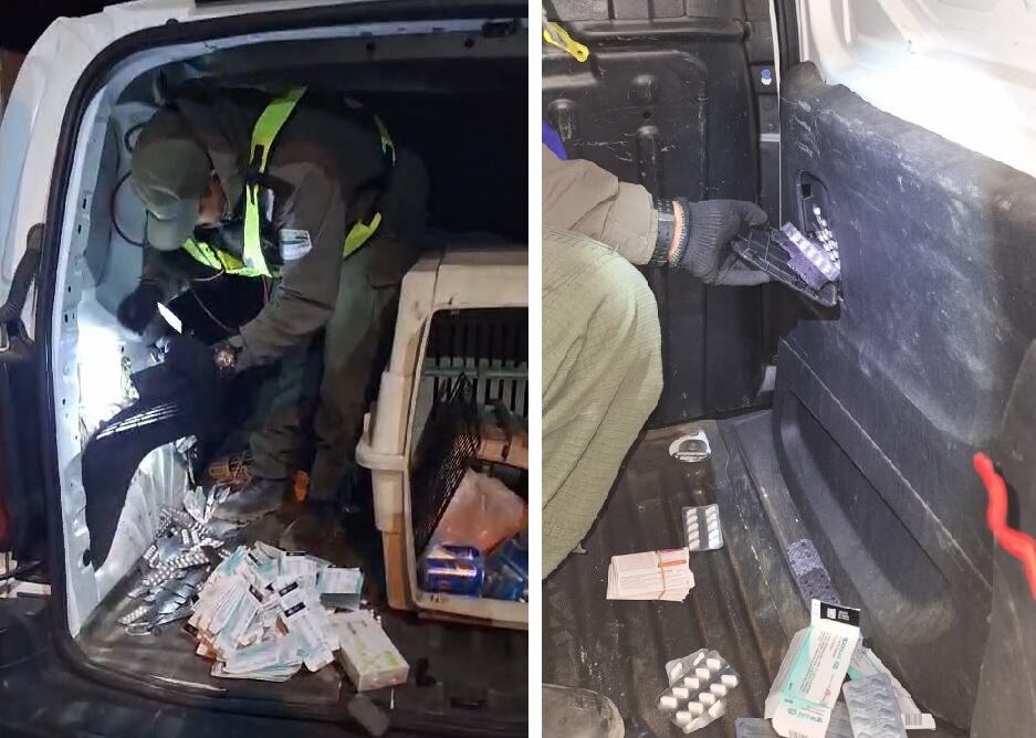 Lo descubrieron cuando intentaba cruzar a Chile con remedios veterinarios valuados en $3 millones. | Foto: Gendarmería Nacional