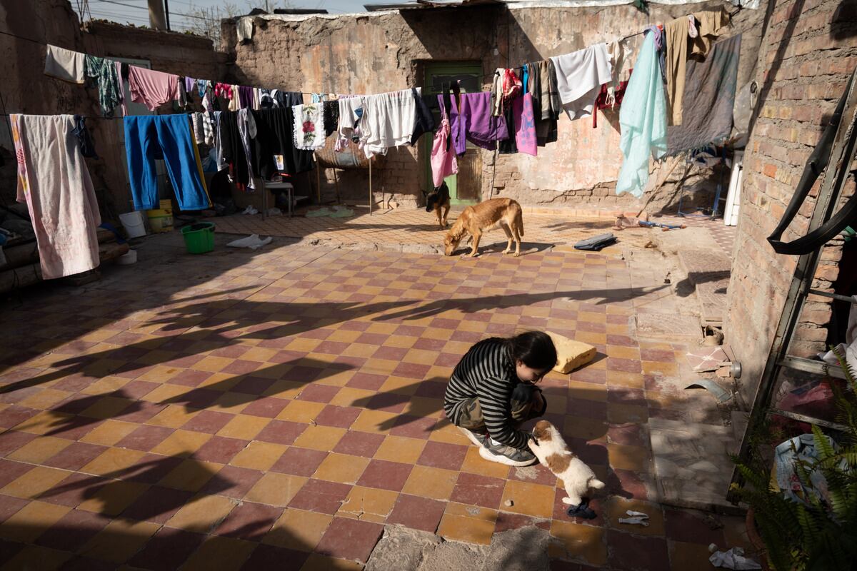 Pobreza, Analia y sus hijos necesitan ayuda.

Analia Cisterna vive con sus 5 hijos y su madre discapacitada, viven en condiciones inhumanas. Analia duerme en la misma habitación con sus 5 hijos, tiene un baño sin inodoro, hacen sus necesidades en un balde y calientan el agua para bañarse con un calefón a leña.
Jenifer juega con uno de los 12 cachorros que tuvieron sus dos perras.

Foto: Ignacio Blanco / Los Andes  