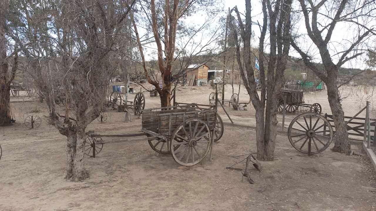 Senderos de Chacras, paseo por el Pedemonte mendocino

Foto: José Gutierrez / Los Andes 


