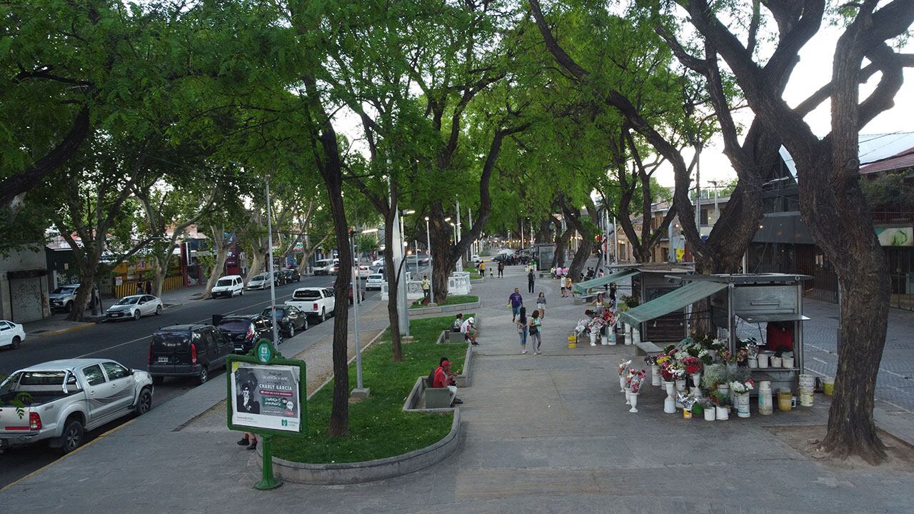 Planean convertir el paseo Alameda en un centro comercial a cielo abierto. Foto: Marcelo Rolland / Los Andes