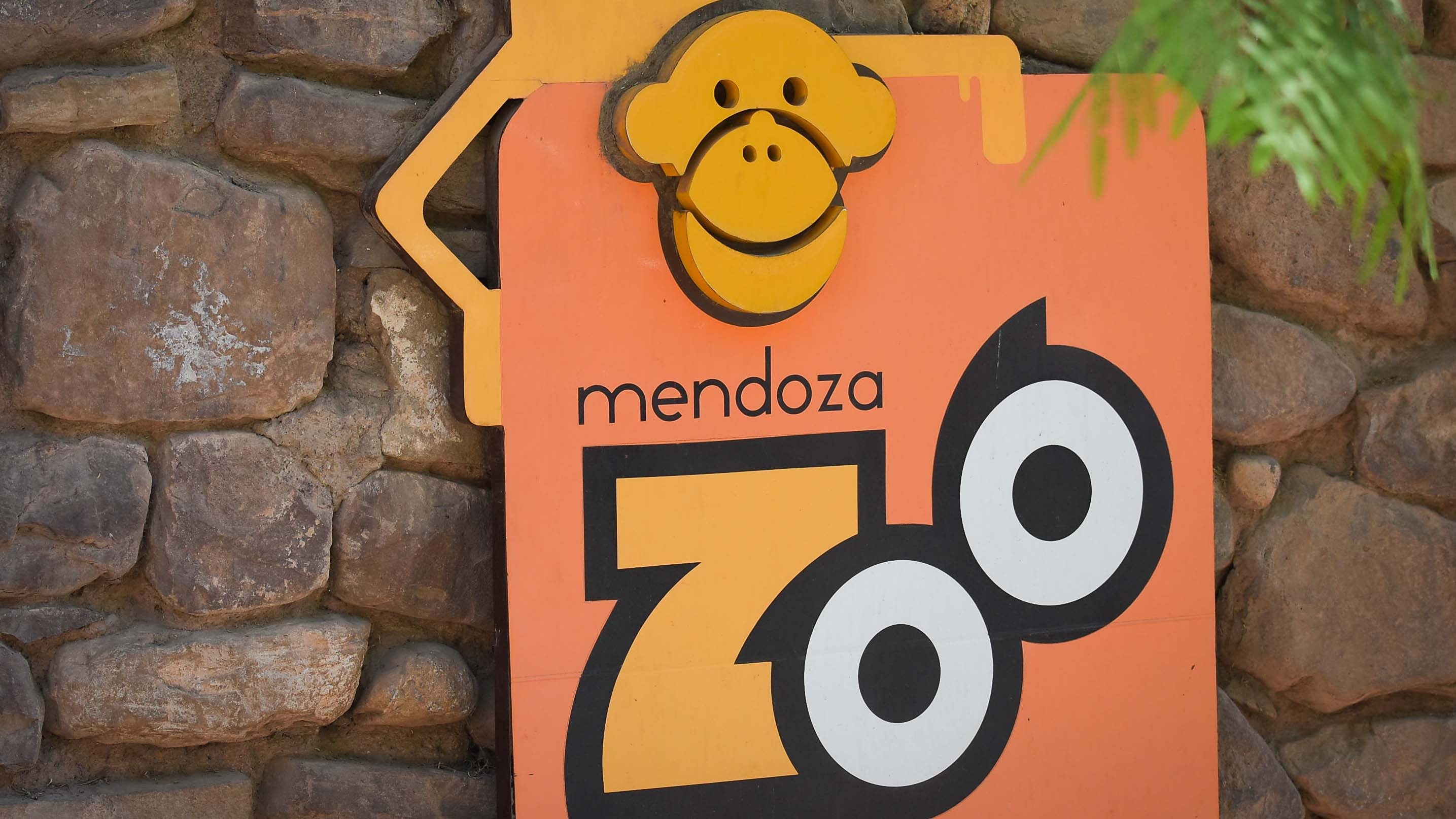 Ecoparque de Mendoza
Mientras se esperan las obras en el actual Ecoparque algunos animales continuan en el ex zoo de Mendoza  Foto: Claudio Gutiérrez 
