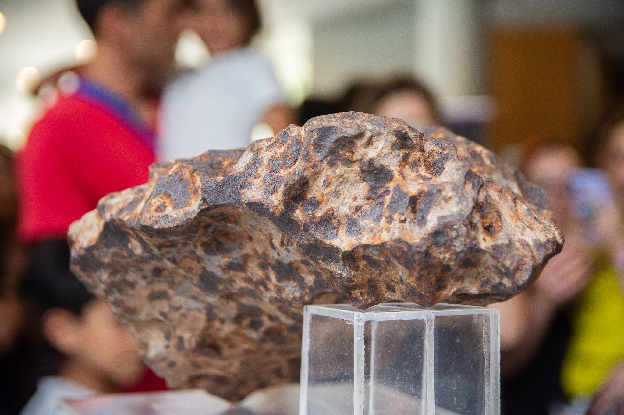 El Planetario de la ciudad de La Plata exhibió un meteorito que cayó hace 4 mil años. Foto: UNLP