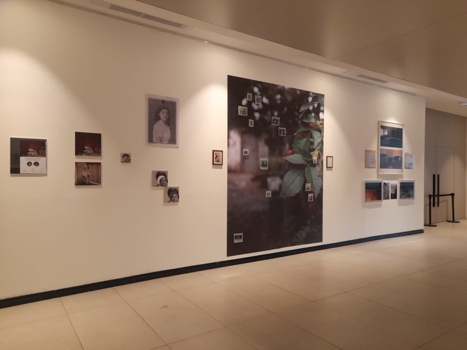 Las puertas del museo están abiertas en forma libre y gratuita