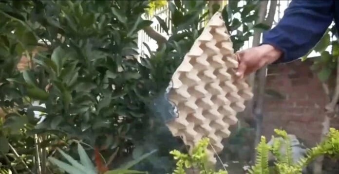 Un hombre quemó maples de huevo para “ahuyentar” a los mosquitos y generó preocupación en los vecinos de Puerto Iguazú