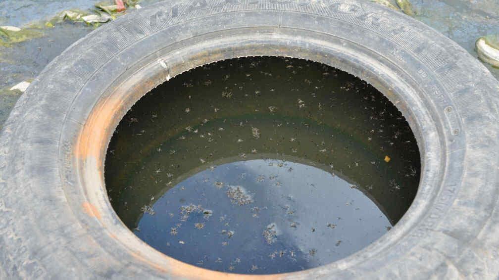 Los recipientes con agua son criaderos de estos mosquitos (La Voz / Raimundo Viñuelas).