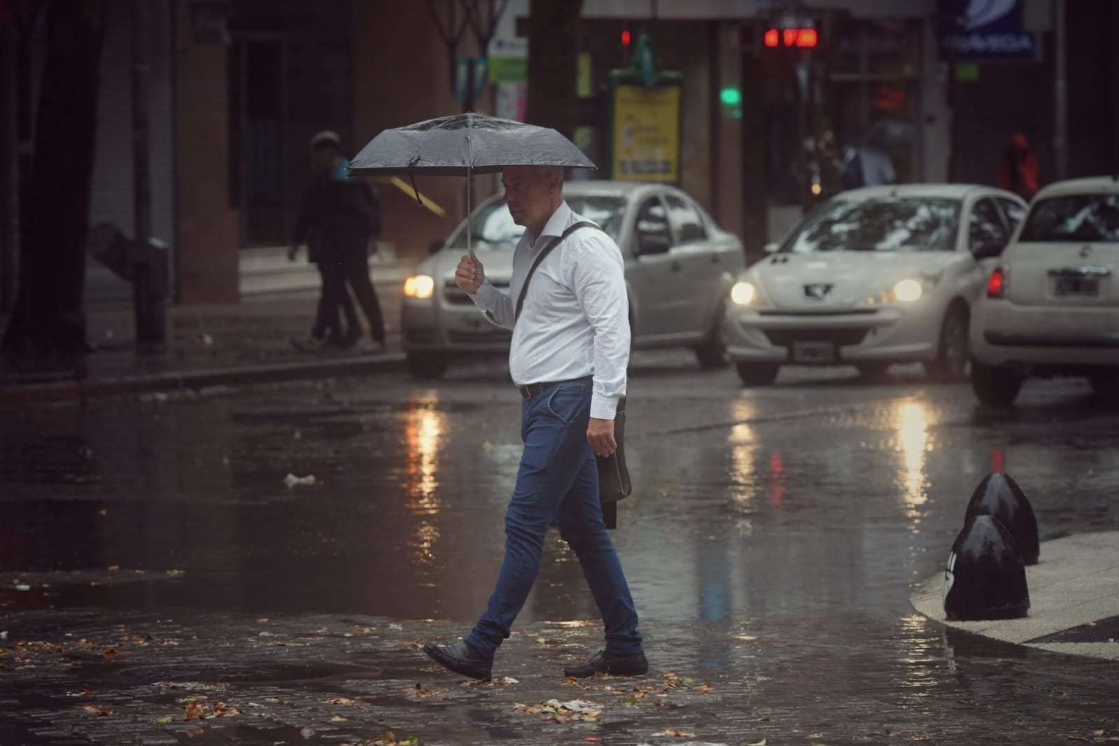 Por las lluvias de esta madrugada y mañana, hubo ramas, árboles caídos y hasta un techo derrumbado. Foto: Ignacio Blanco / Los Andes.