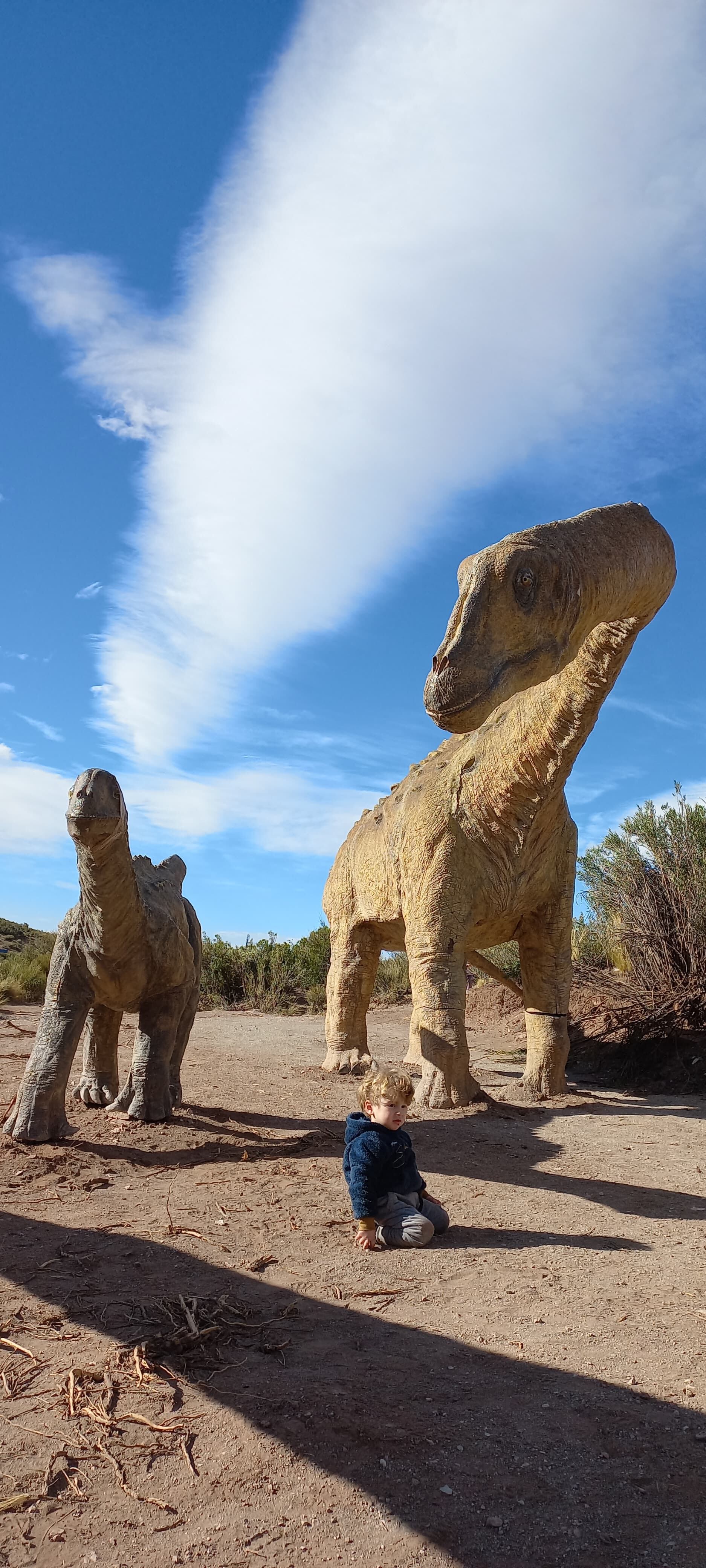 Dinosaurios en Mendoza: 9 especies que habitaron en Mendoza y cómo es el “Jurassic Park mendocino”. Foto; Gentileza María Belén Tomaselli