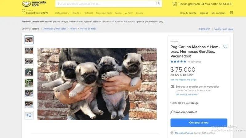 Asociaciones quieren prohibir la venta online de mascotas y preparan una marcha en Buenos Aires.