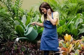 Esto ocurre si le echas cloro a las plantas del jardín