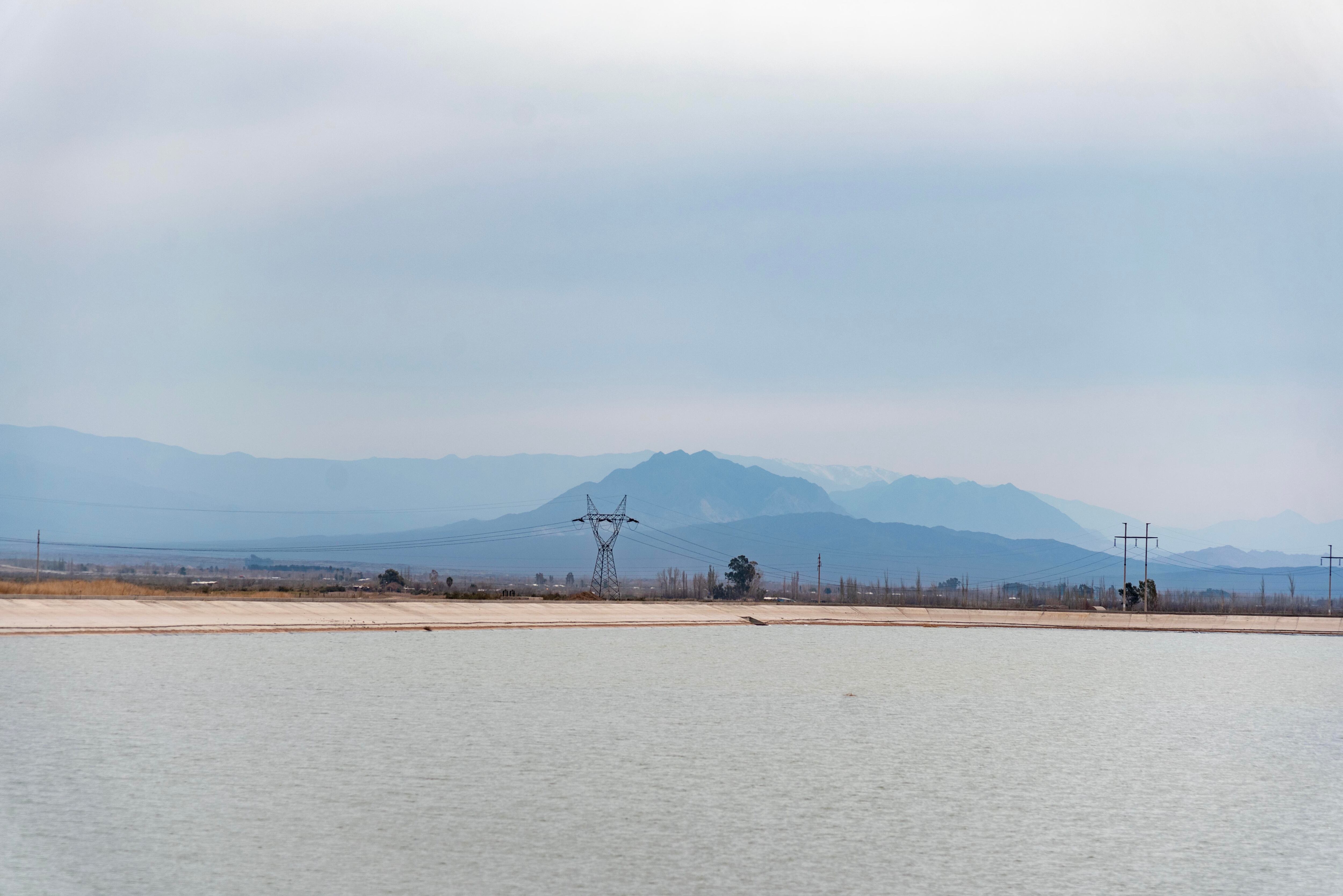 Reforestación: se plantarán 756 árboles en una obra que Irrigación inauguró en marzo