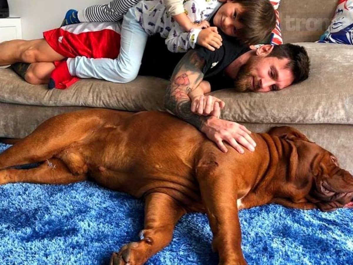 Hulk, el perro de Messi tiene una avanzada edad.