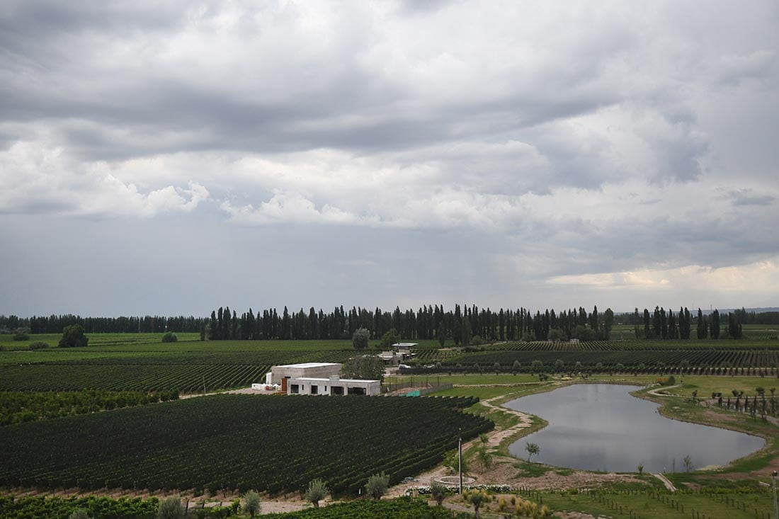 El paisaje de viñedos en el departamento de Lujan de Cuyo, se ve amenazado por tormentas, en una semana de mucho calor.  Foto: José Gutierrez