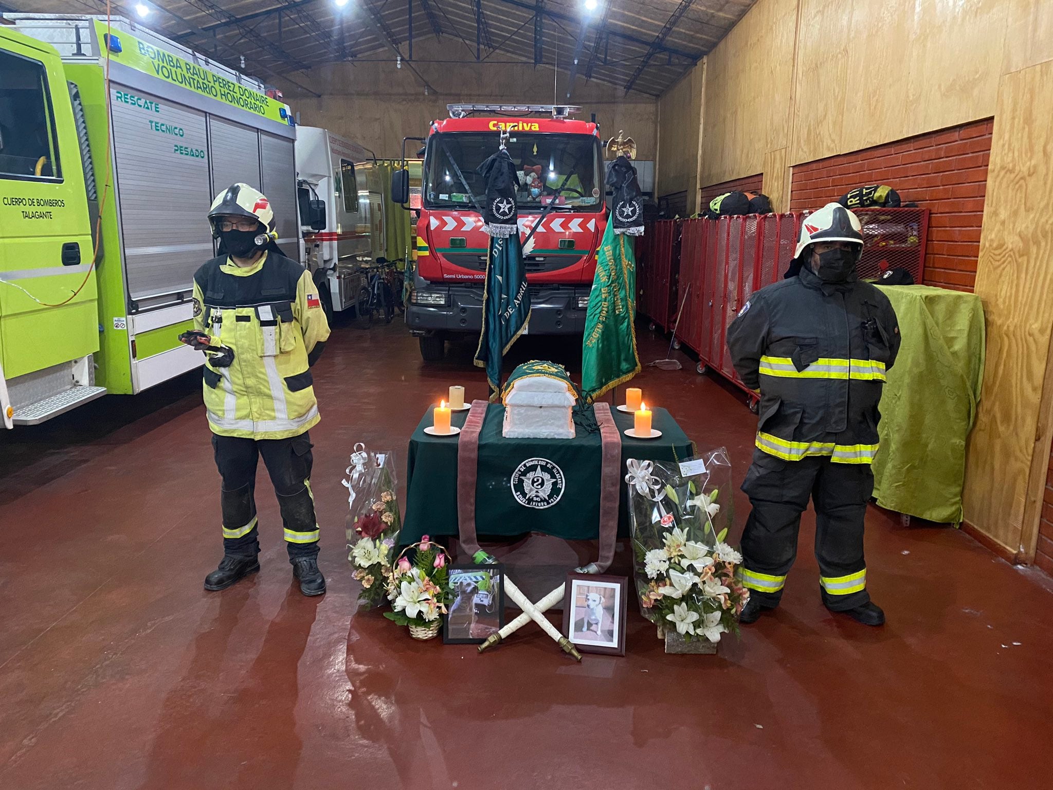 Shirley, la mascota de un cuartel de bomberos, falleció y fue despedida con honores.