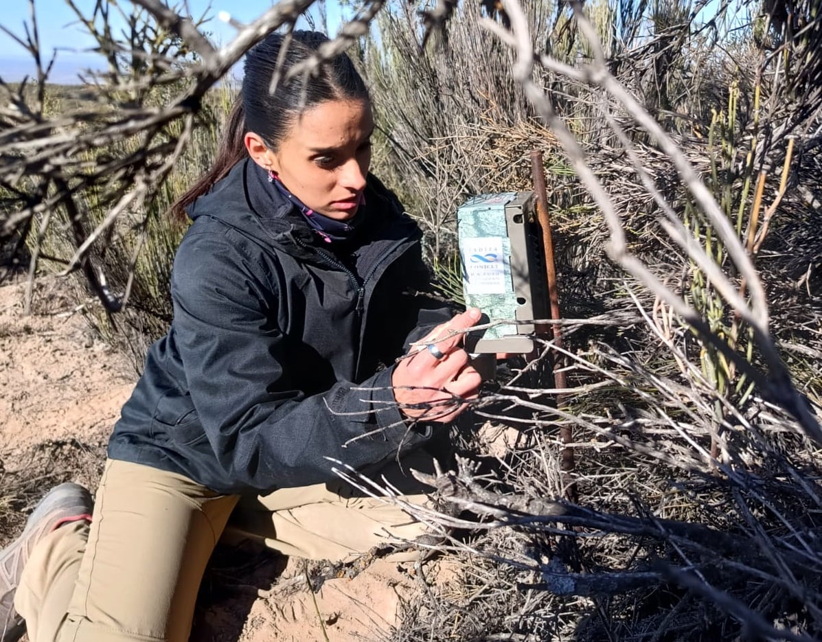 Rocío Fleitas colocando una cámara trampa en el pedemonte. Foto: equipo de investigación Conicet Mendoza.