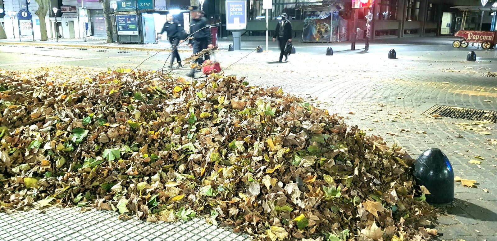 Acumulación de hojas tras el viento Zonda en Mendoza (Orlando Pelichotti / Los Andes)