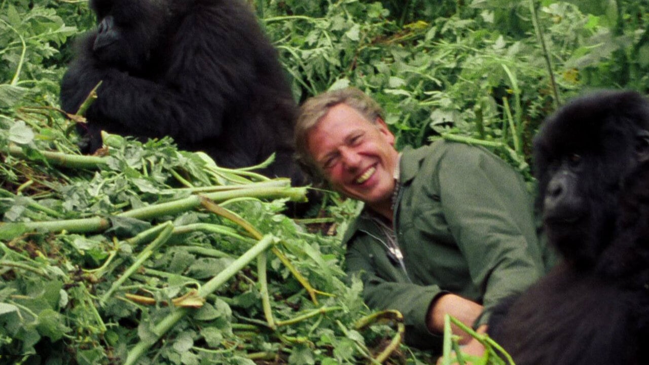 David Attenborough  se considera un privilegiado, que pasó gran parte de su vida recorriendo el mundo y en contacto con la naturaleza.