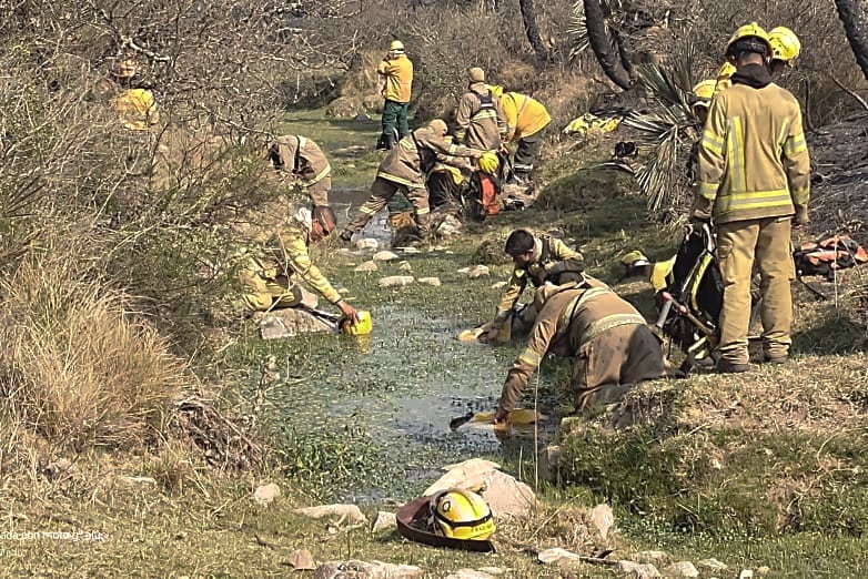 Más de 370 bomberos trabajan en la zona  (Ministerio de Seguridad).