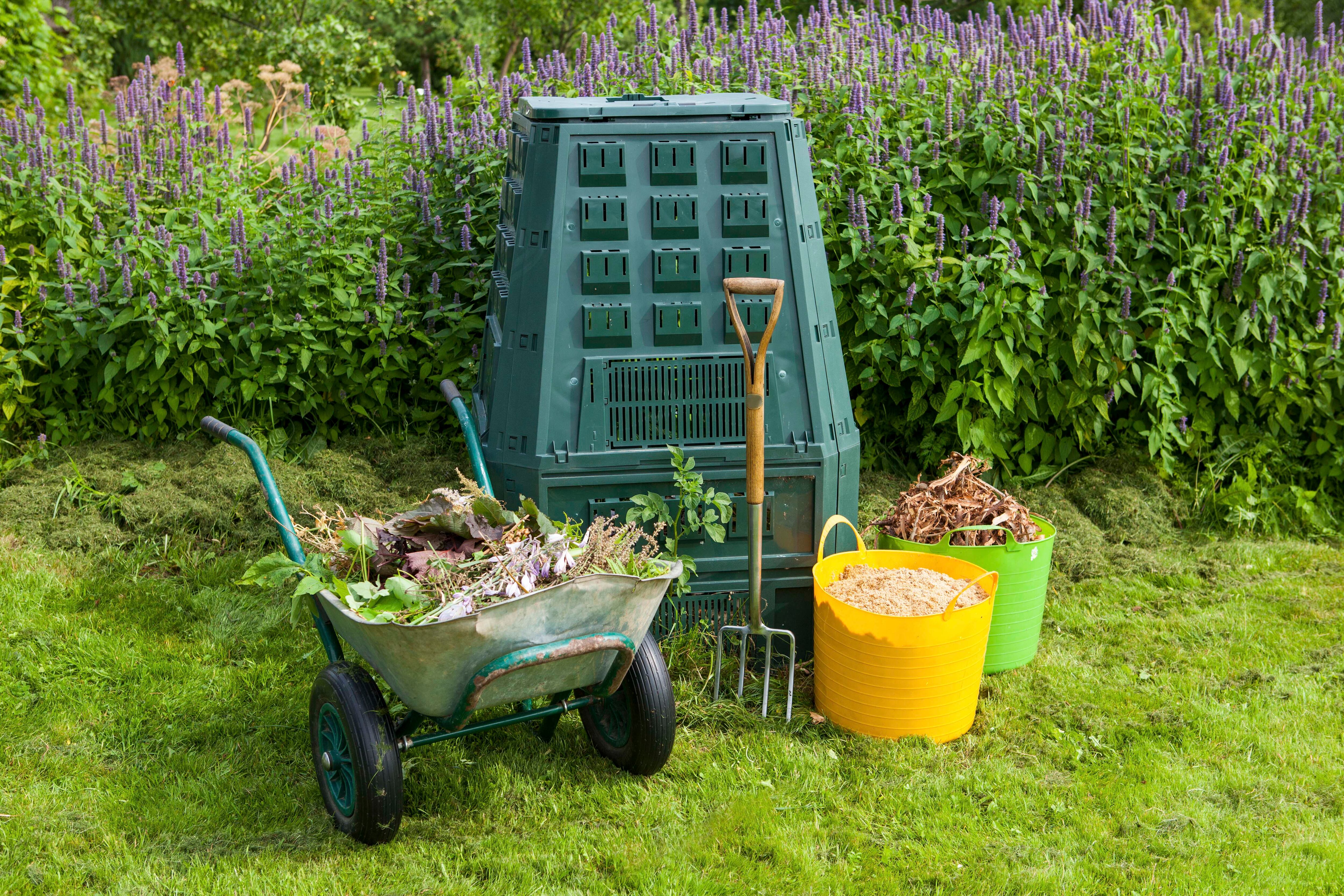 Además de aprovechar las cáscaras de frutas y hortalizas, durante las fiestas podés sumar al compost un preparado con los restos de sidra y otras bebidas alcohólicas.