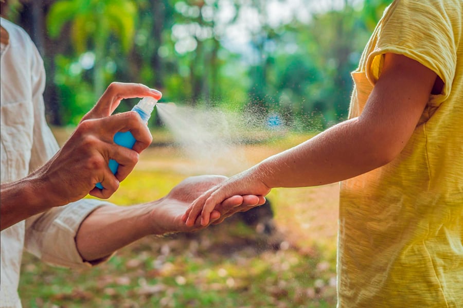 Cómo cuidar a perros y gatos de las picaduras de mosquitos. / WEB