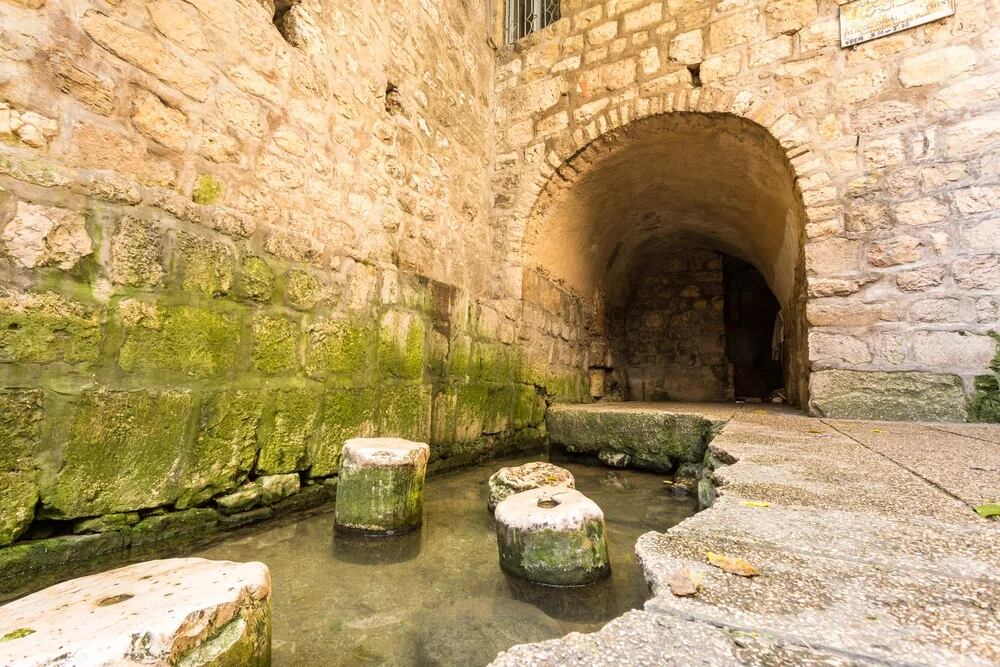 Los visitantes podrán acudir a dicha zona “en algunos años” para ser testigos de la historia de la Biblia. Gentileza: Twitter @HananyaNaftali.