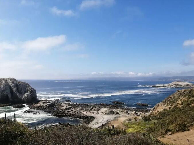 Canelo y Canelillo, la bahía chilena ubicada a 90 minutos de Reñaca con bosques y aguas cristalinas. Foto: Instagram @ecoturismo.algarrobo