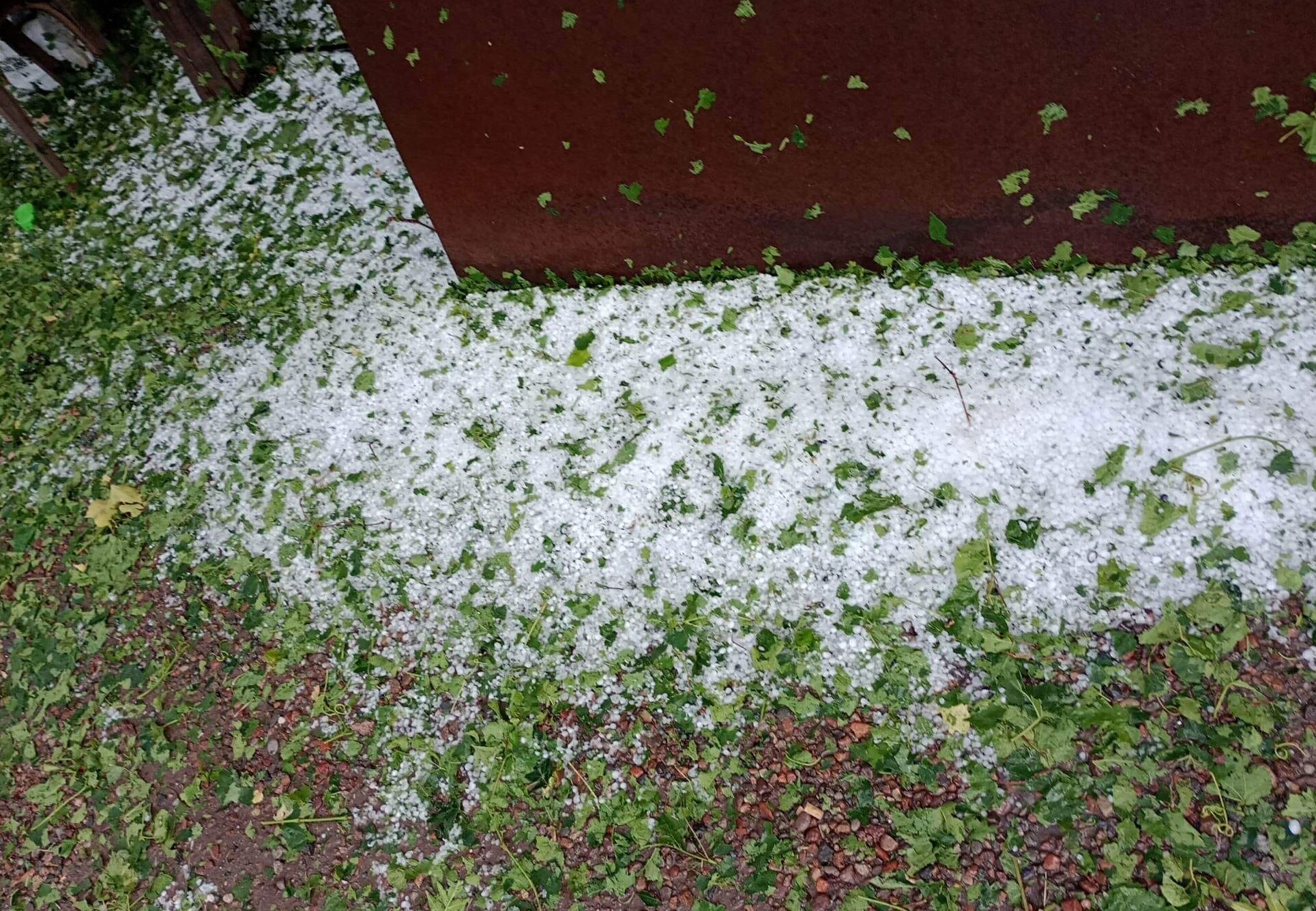 Granizo en Tres Porteñas, San Martín (Facebook Tormentas mendocinas)