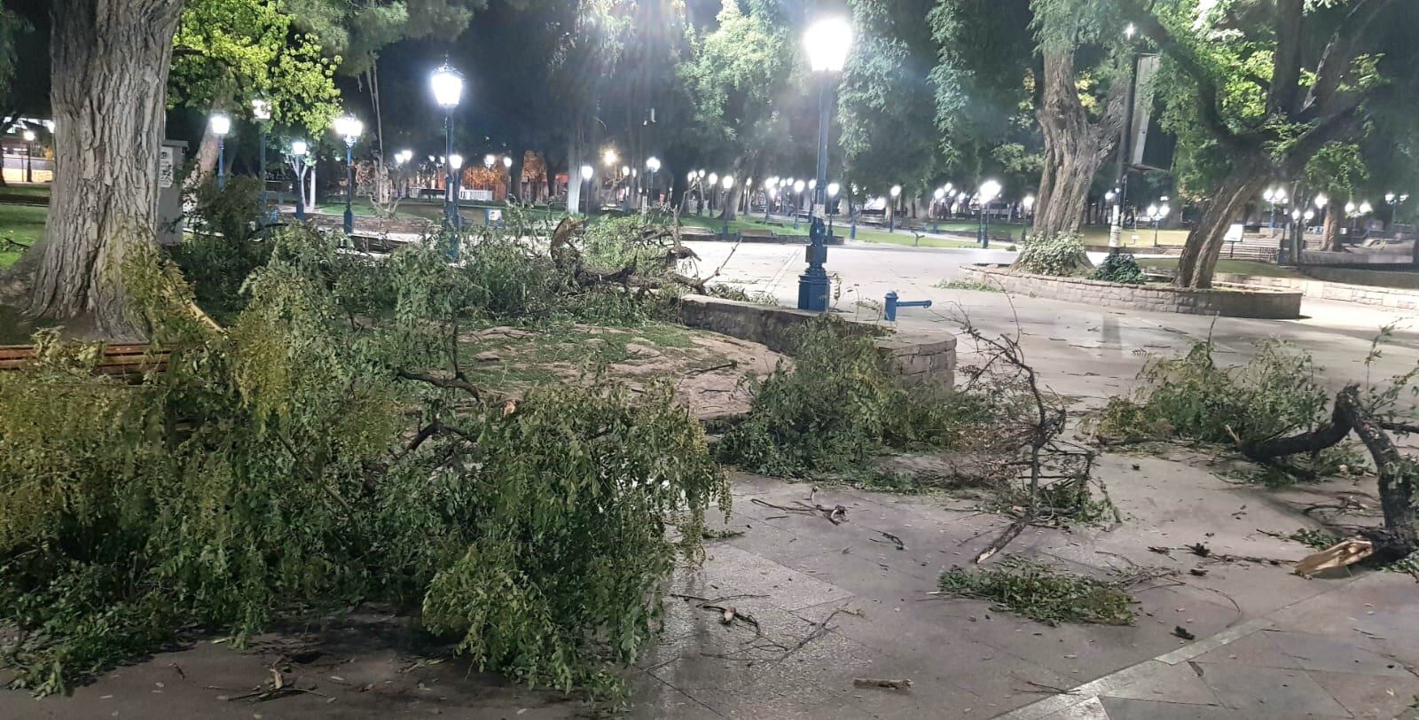 Ramas en la plaza Independencia tras el viento Zonda (Orlando Pelichotti / Los Andes)