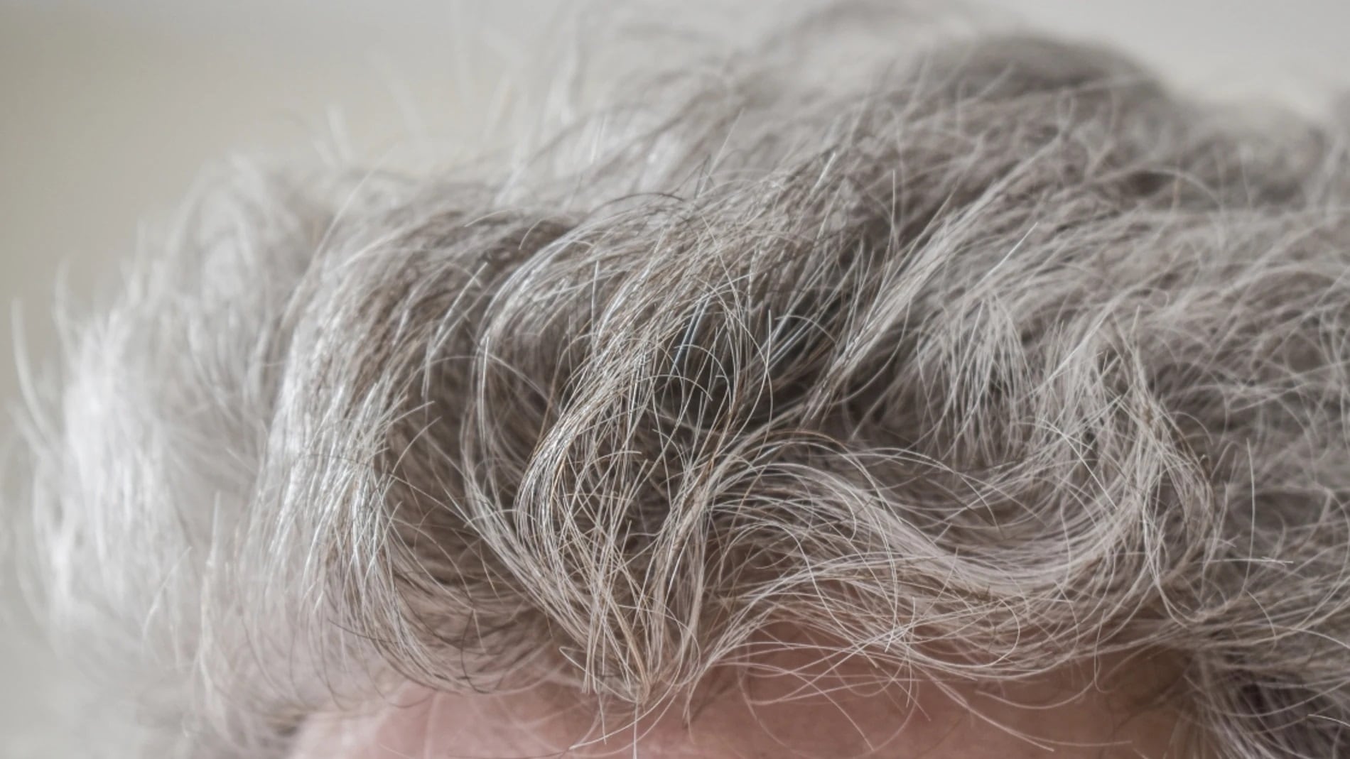 Este truco casero facilita la eliminación de las canas en tu cabello.