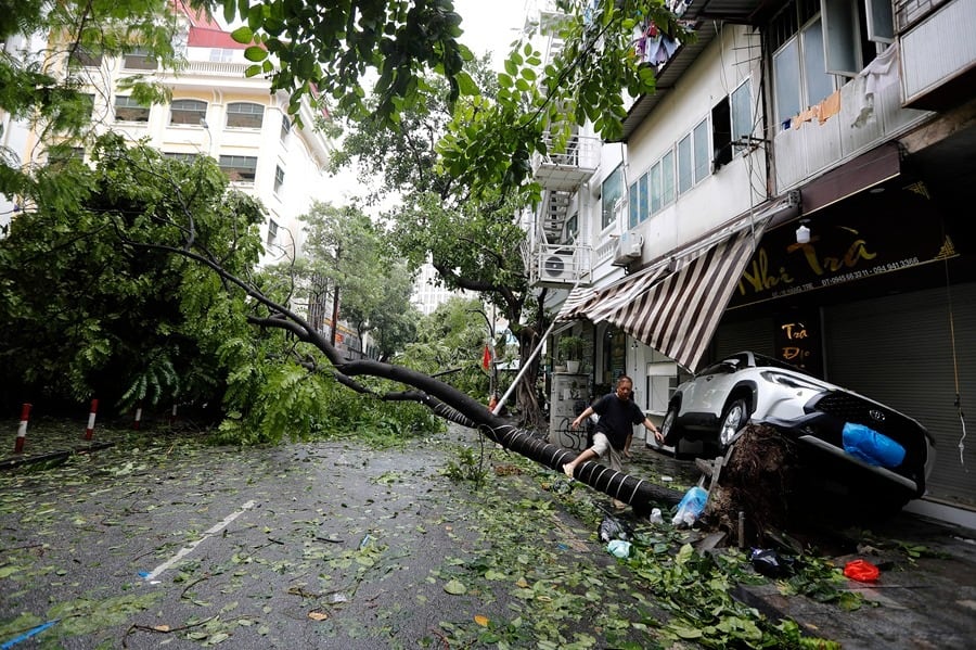 Un hombre salta un árbol caído tras la llegada a tierra del tifón Yagi en Hanoi, Vietnam. EFE/Luong Thai Linh