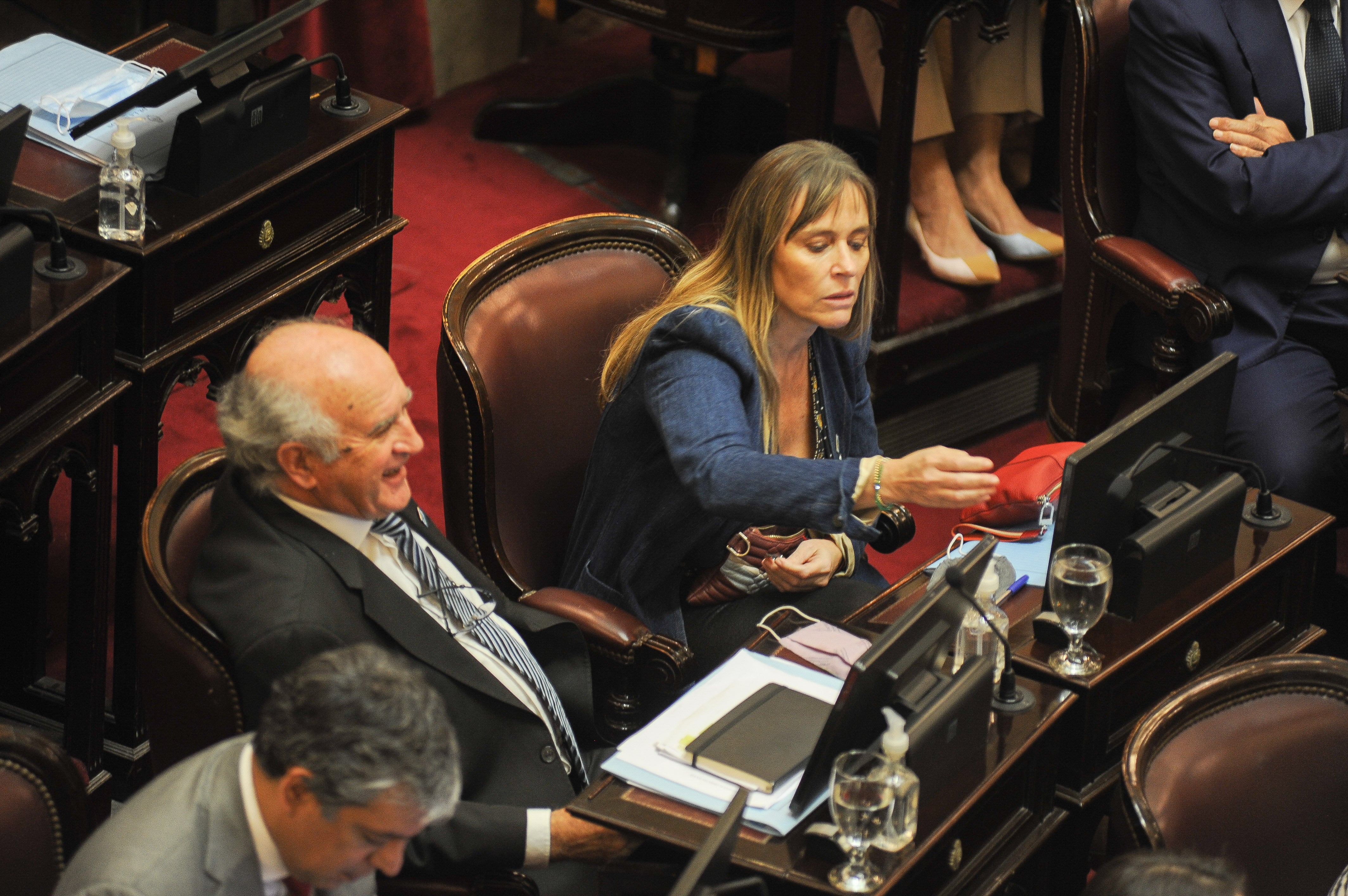 Los senadores kirchneristas Oscar Parrilli y Juliana Di Tullio (Foto: Federico López Claro)