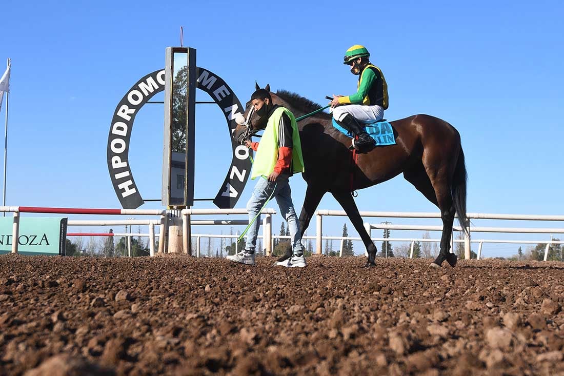 Macklin, el caballo ganador del  gran premio  clásico Santo Patrono Santiago