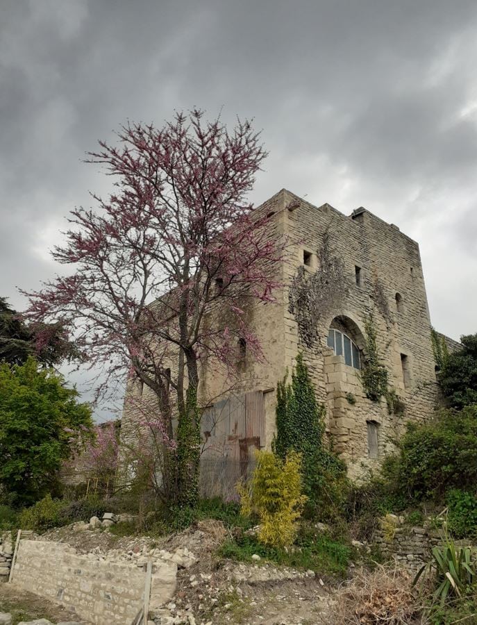 Parte posterior de la casa- taller de Saignon en la actualidad donde se aprecia la pérdida de algunos mampuestos y aberturas. Foto Laura Balaguer. 