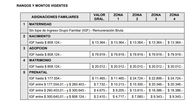 Asignaciones de Pago Único: montos en mayo de 2023 / Anses