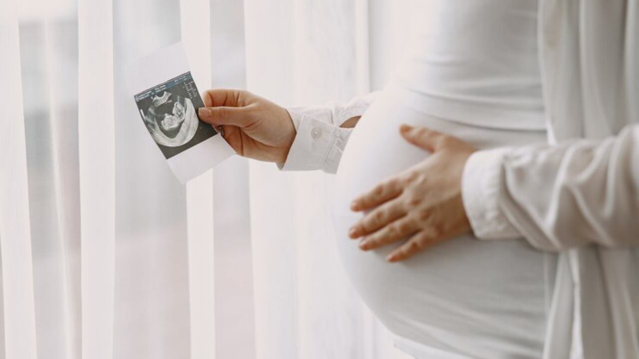 Junio es el Mes Internacional del Cuidado de la Fertilidad: una fecha dedicada a las personas que buscan concebir a un hijo de manera natural y no pueden lograrlo; por lo que recurren a técnicas de reproducción asistida. 