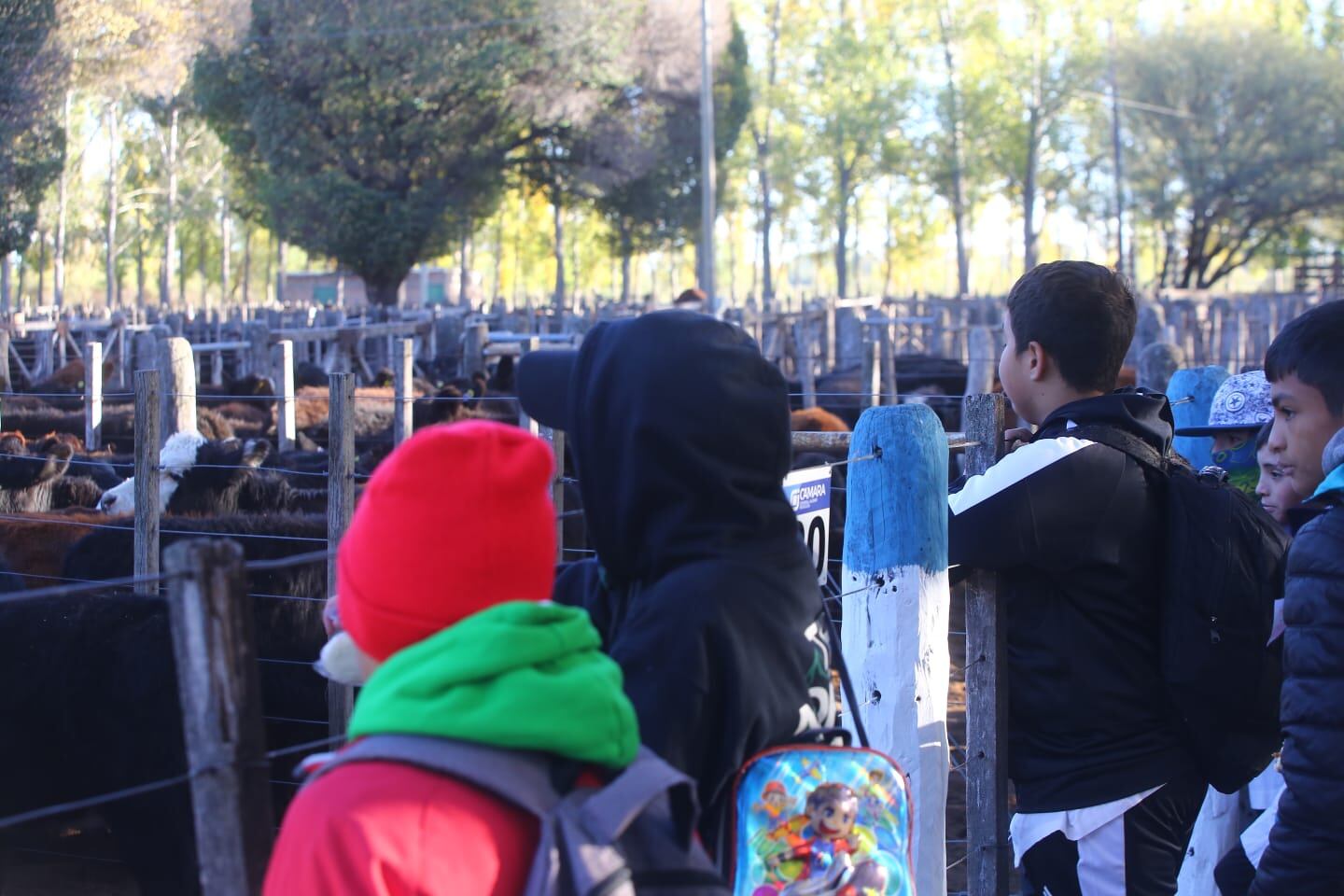 Fiesta Nacional de la Ganadería de Zonas Áridas. Foto: Gentileza