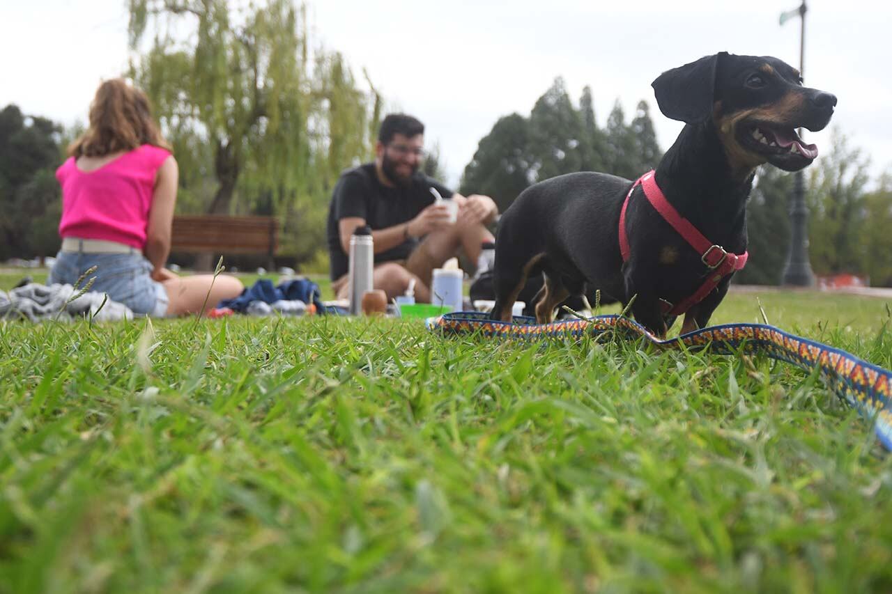  Foto: José Gutiérrez / Los Andes 