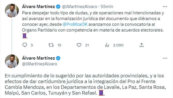 El presidente del Pro, Álvaro Martínez, avisó que el Pro estará en Cambia Mendoza pero para elecciones municipales.