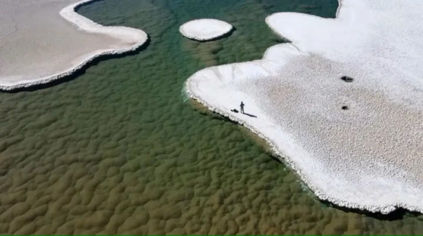 Montículos verdes de estromatolitos florecen en el fondo de una laguna en la Puna de Atacama de Argentina. Foto. NASA.