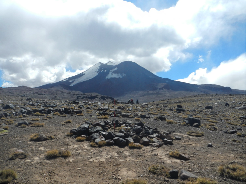 El equipo de investigadores continuará trabajando durante el verano en el sitio.