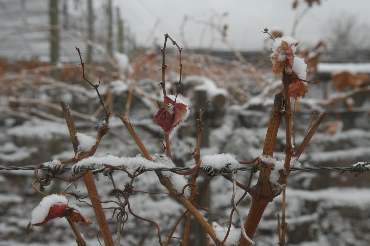 Primera nevada del año en Tupungato