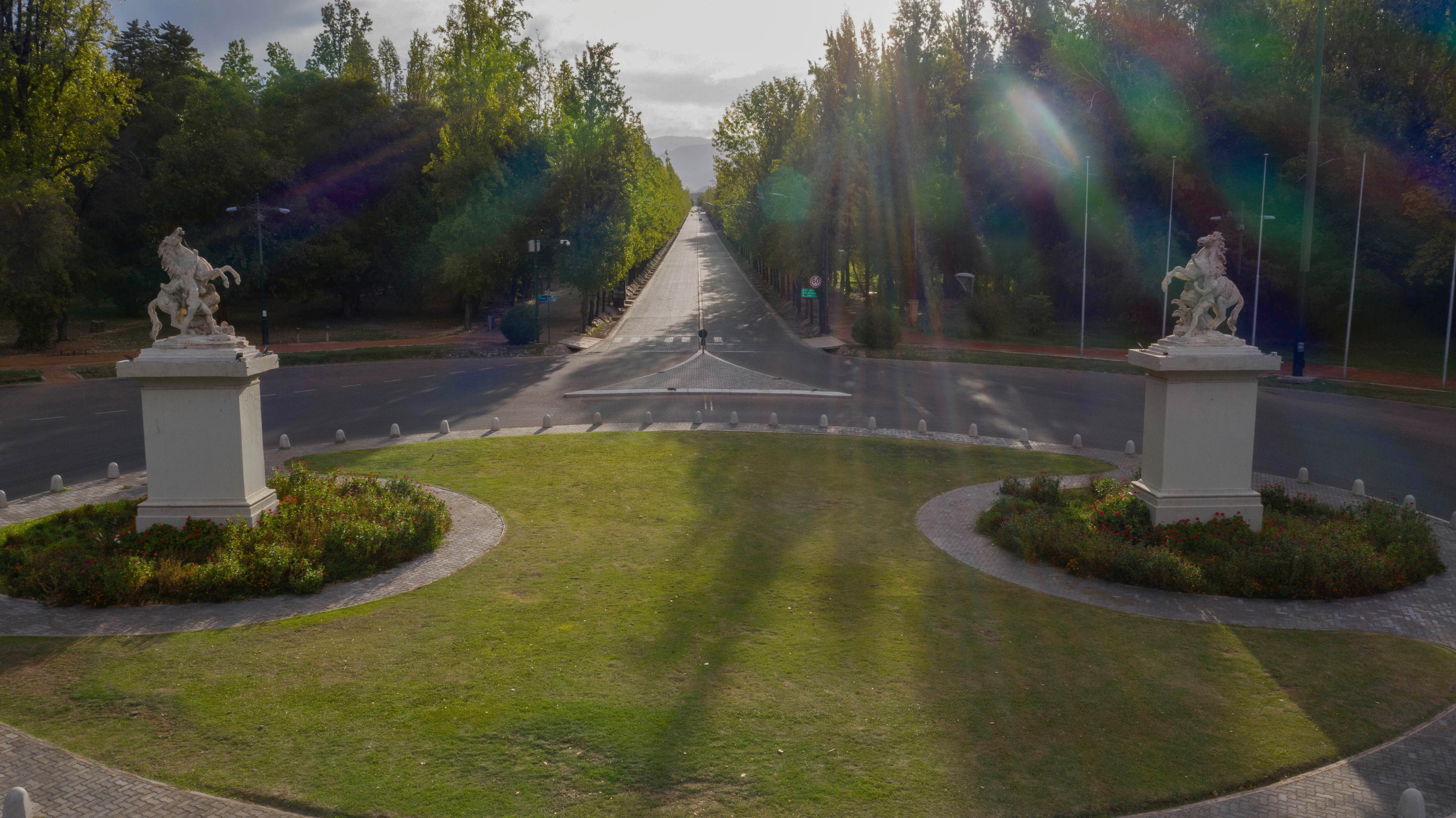 Solo los arboles que rodean las calles del Parque San Martín están incluidas en el Censo de Arbolado Público; pero no los de los prados. Foto: Marcelo Rolland /  Los Andes
