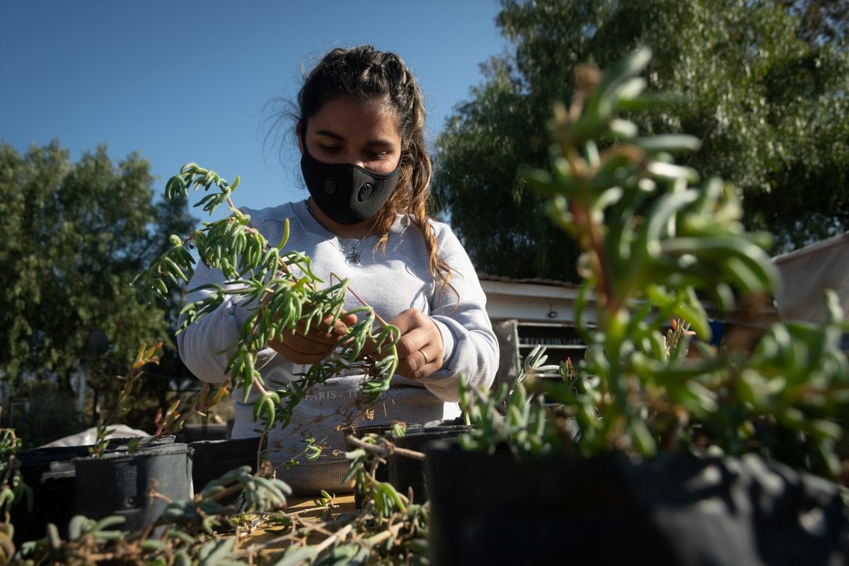 Mayra Paredes armando plantines en la Asociación.