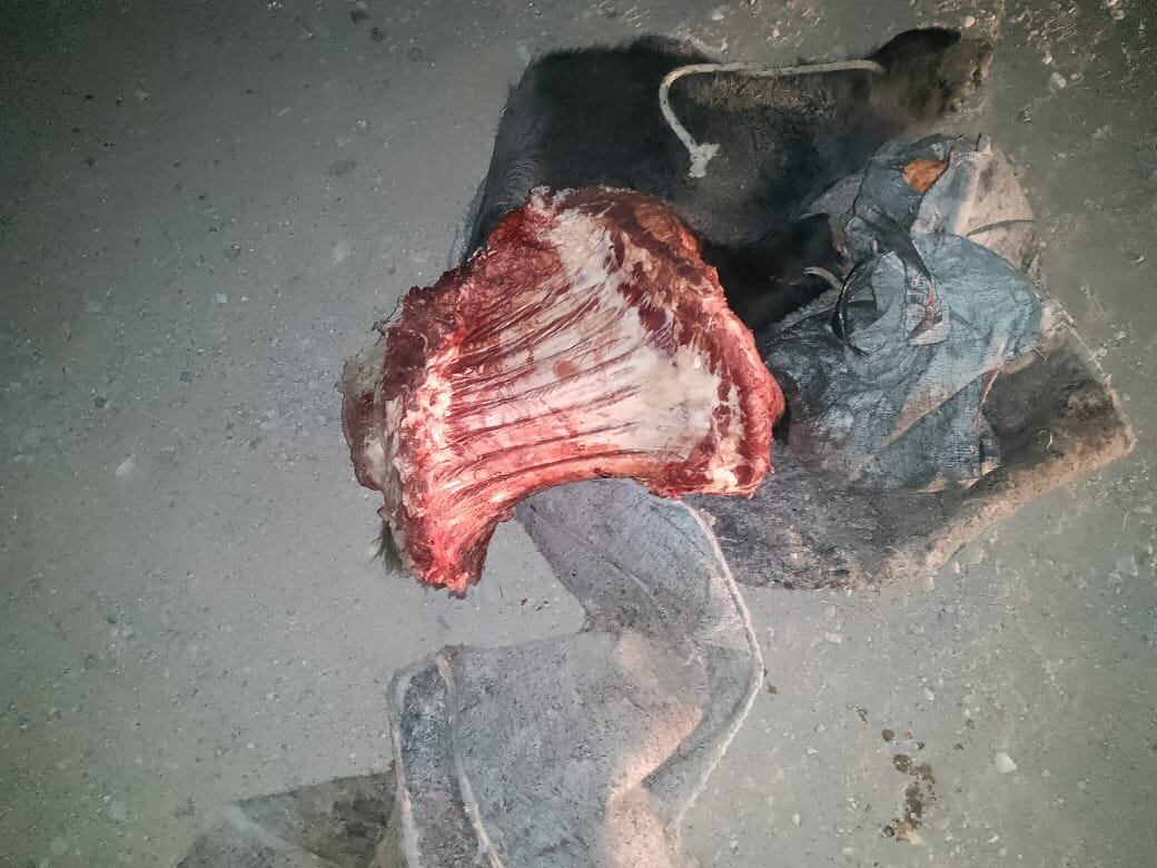 El hombre quedó detenido este sábado por la noche con carne vacuna faena. Gentileza: Prensa Seguiridad.