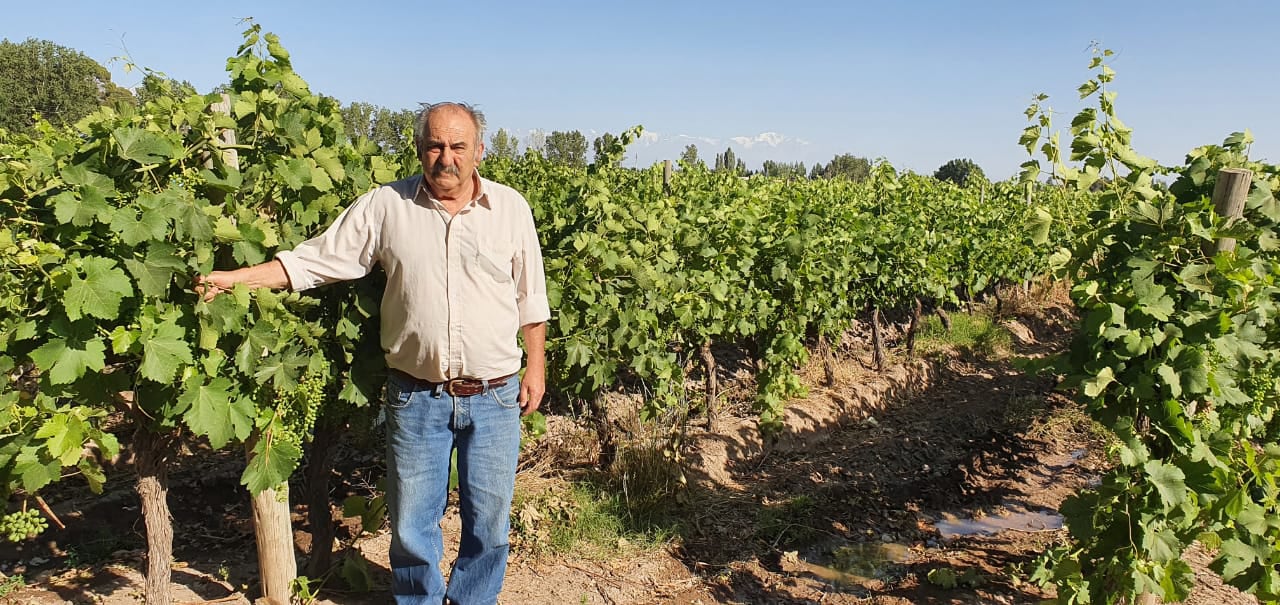 Mario Leiva productor y presidente de la Sociedad Rural del Valle de Uco.